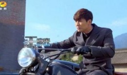 电视剧百战天狼在线观看,烽火岁月里的英雄传奇，热血激战在线重温